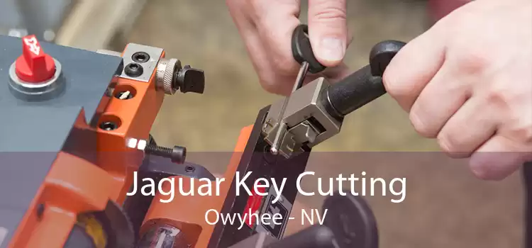 Jaguar Key Cutting Owyhee - NV
