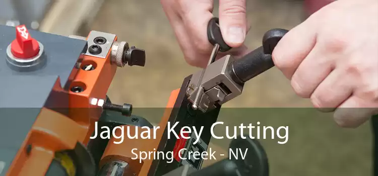 Jaguar Key Cutting Spring Creek - NV