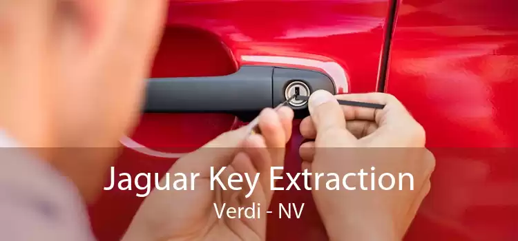 Jaguar Key Extraction Verdi - NV