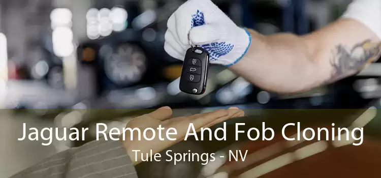 Jaguar Remote And Fob Cloning Tule Springs - NV
