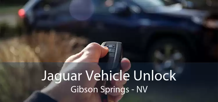 Jaguar Vehicle Unlock Gibson Springs - NV