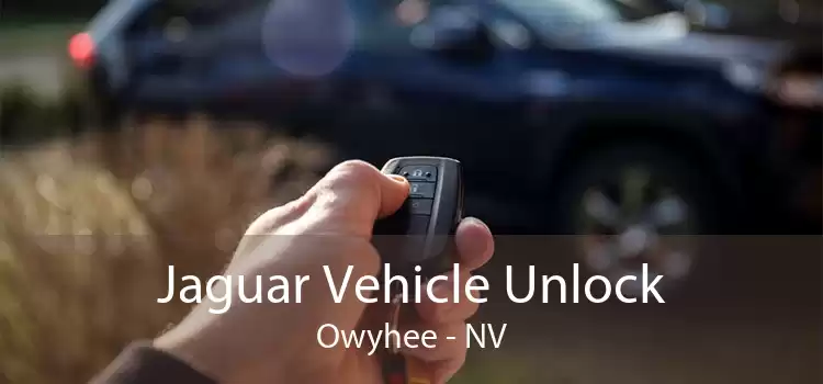 Jaguar Vehicle Unlock Owyhee - NV