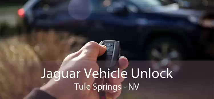 Jaguar Vehicle Unlock Tule Springs - NV