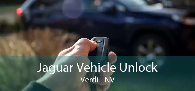 Jaguar Vehicle Unlock Verdi - NV