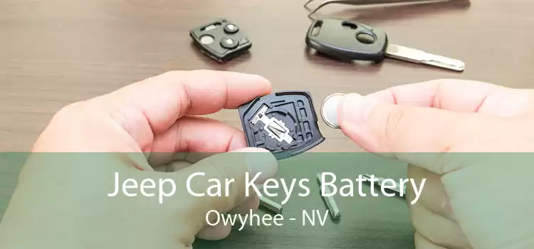 Jeep Car Keys Battery Owyhee - NV