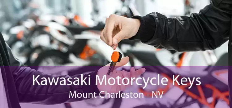 Kawasaki Motorcycle Keys Mount Charleston - NV