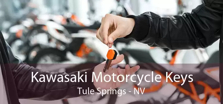 Kawasaki Motorcycle Keys Tule Springs - NV