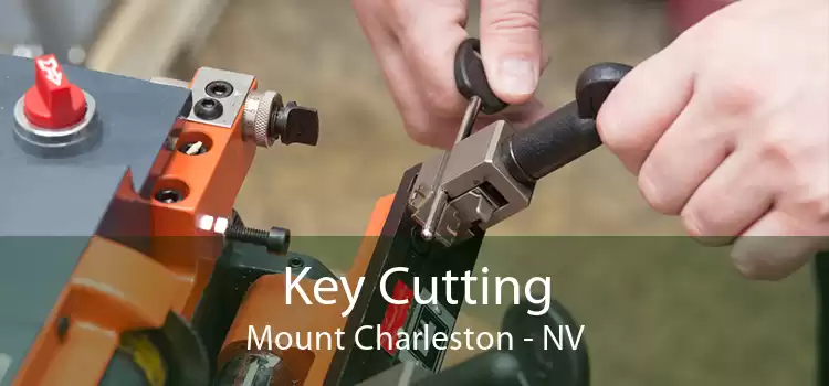 Key Cutting Mount Charleston - NV