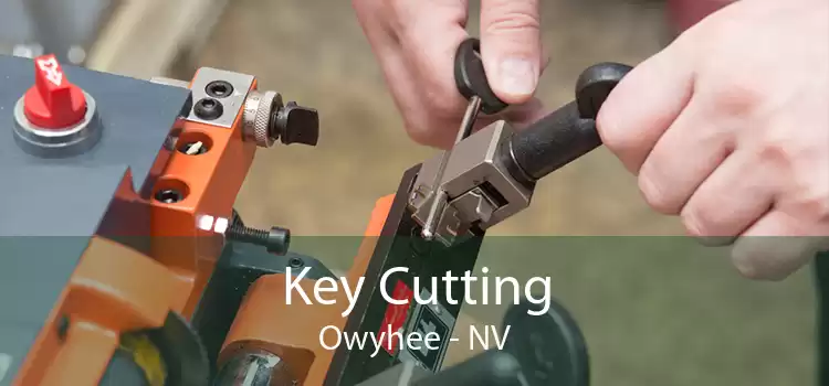 Key Cutting Owyhee - NV