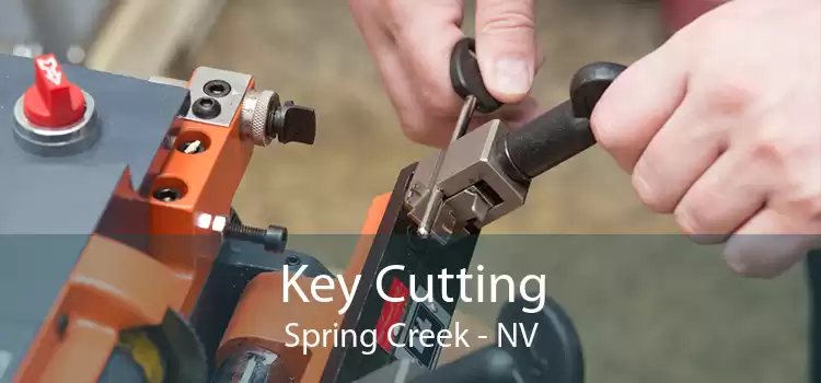 Key Cutting Spring Creek - NV