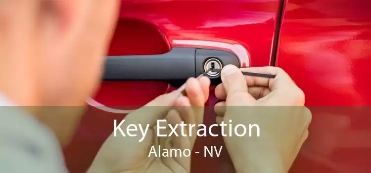 Key Extraction Alamo - NV