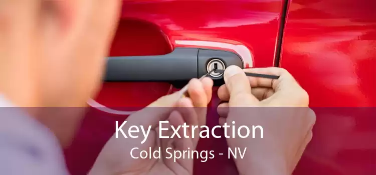 Key Extraction Cold Springs - NV