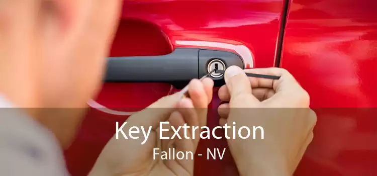 Key Extraction Fallon - NV