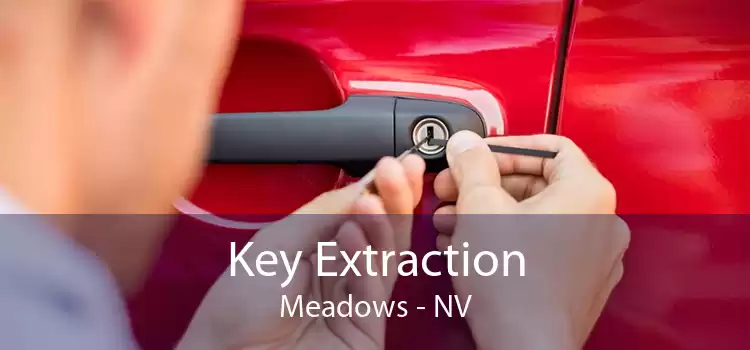 Key Extraction Meadows - NV