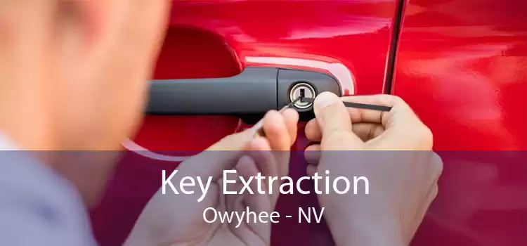 Key Extraction Owyhee - NV