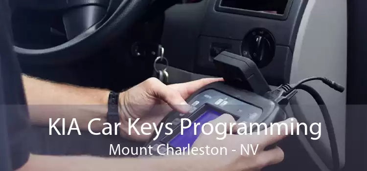 KIA Car Keys Programming Mount Charleston - NV