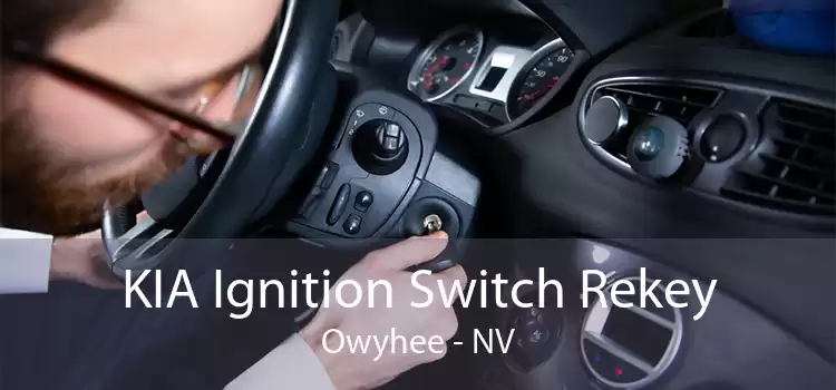 KIA Ignition Switch Rekey Owyhee - NV