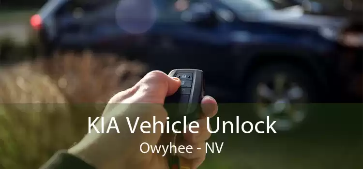 KIA Vehicle Unlock Owyhee - NV