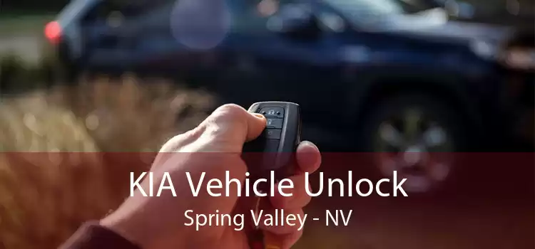 KIA Vehicle Unlock Spring Valley - NV