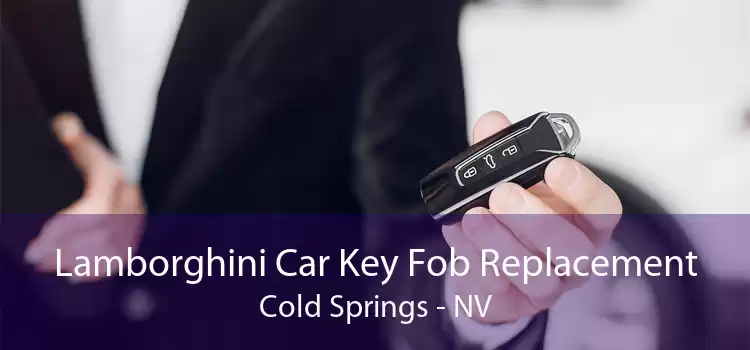Lamborghini Car Key Fob Replacement Cold Springs - NV