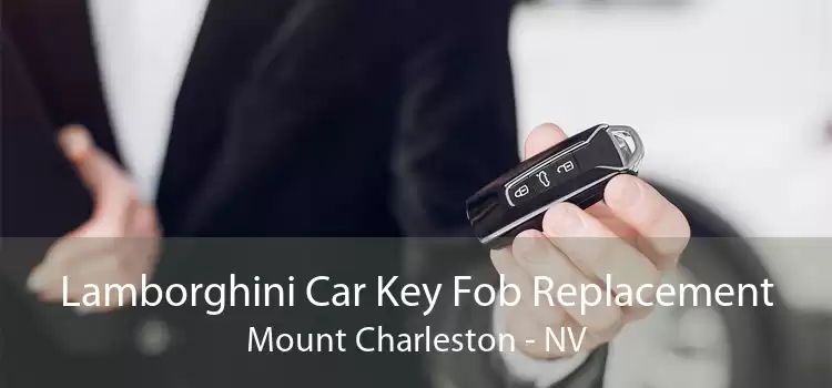 Lamborghini Car Key Fob Replacement Mount Charleston - NV