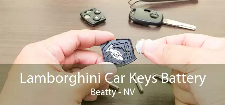 Lamborghini Car Keys Battery Beatty - NV