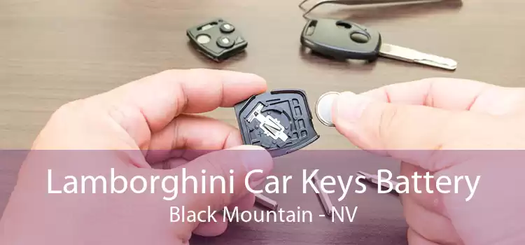 Lamborghini Car Keys Battery Black Mountain - NV
