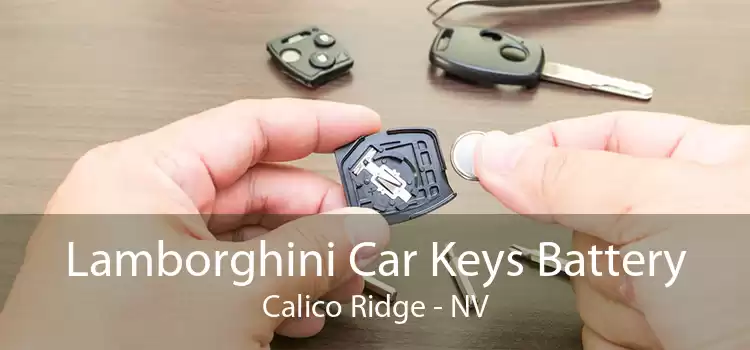 Lamborghini Car Keys Battery Calico Ridge - NV
