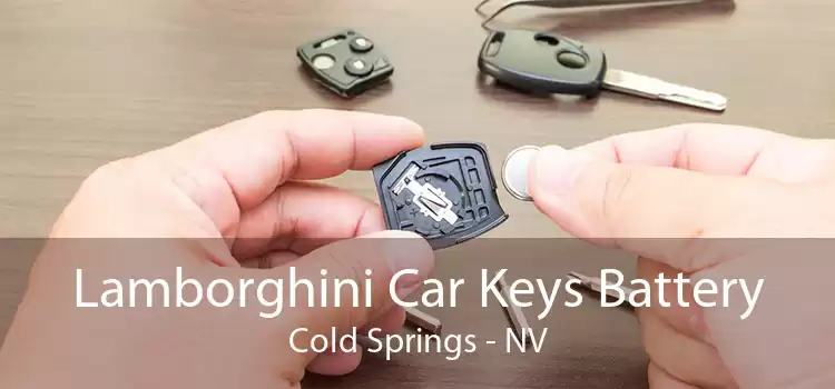 Lamborghini Car Keys Battery Cold Springs - NV