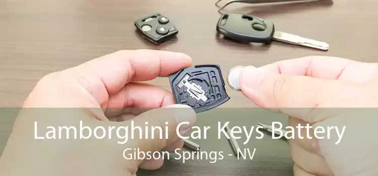 Lamborghini Car Keys Battery Gibson Springs - NV