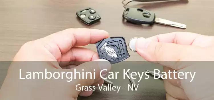 Lamborghini Car Keys Battery Grass Valley - NV