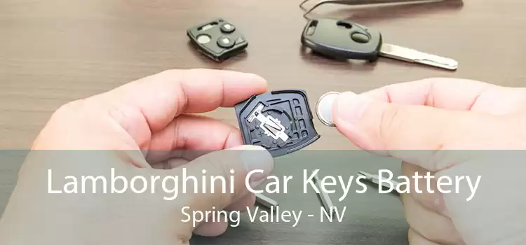 Lamborghini Car Keys Battery Spring Valley - NV