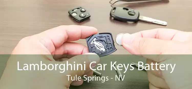Lamborghini Car Keys Battery Tule Springs - NV