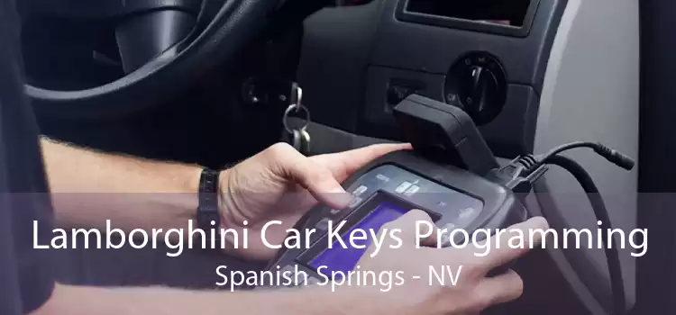 Lamborghini Car Keys Programming Spanish Springs - NV