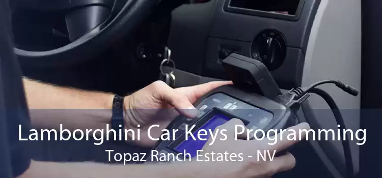 Lamborghini Car Keys Programming Topaz Ranch Estates - NV