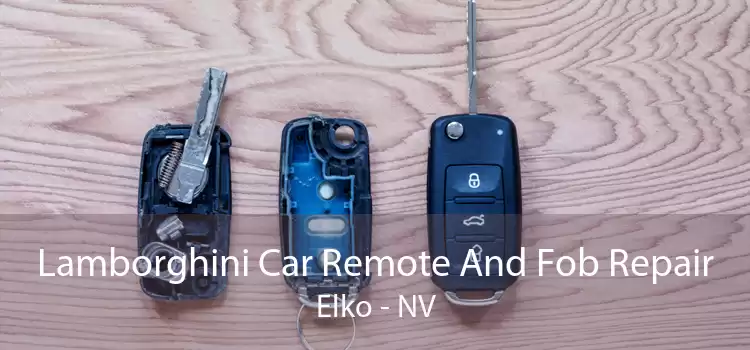 Lamborghini Car Remote And Fob Repair Elko - NV