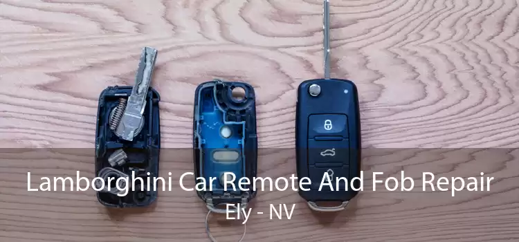 Lamborghini Car Remote And Fob Repair Ely - NV