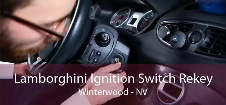 Lamborghini Ignition Switch Rekey Winterwood - NV