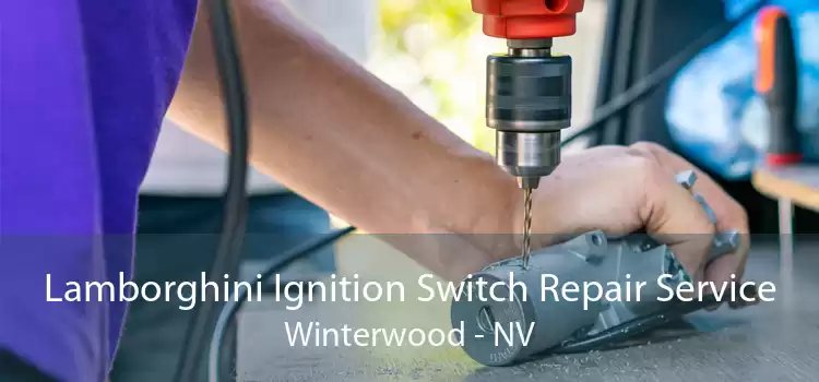Lamborghini Ignition Switch Repair Service Winterwood - NV