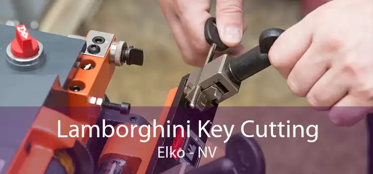 Lamborghini Key Cutting Elko - NV