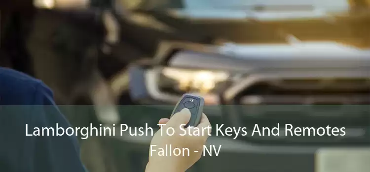Lamborghini Push To Start Keys And Remotes Fallon - NV