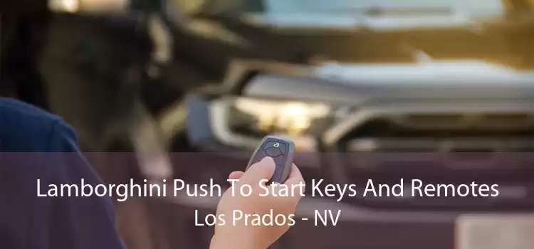 Lamborghini Push To Start Keys And Remotes Los Prados - NV