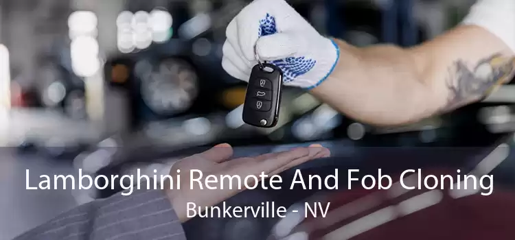Lamborghini Remote And Fob Cloning Bunkerville - NV