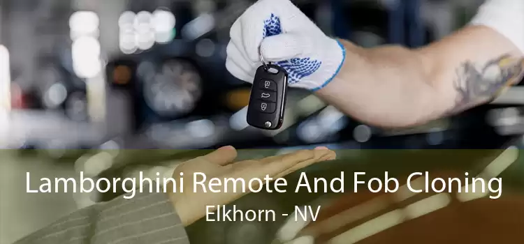 Lamborghini Remote And Fob Cloning Elkhorn - NV