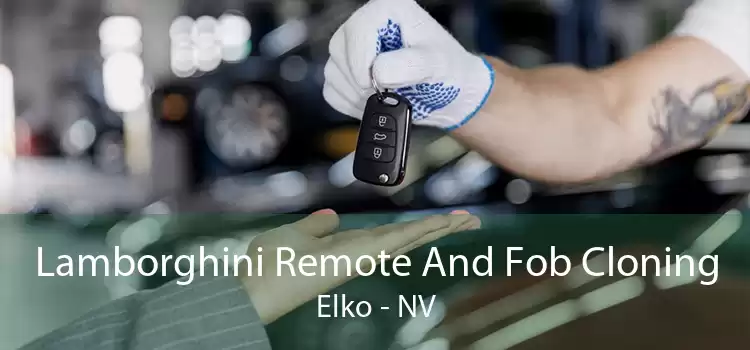 Lamborghini Remote And Fob Cloning Elko - NV