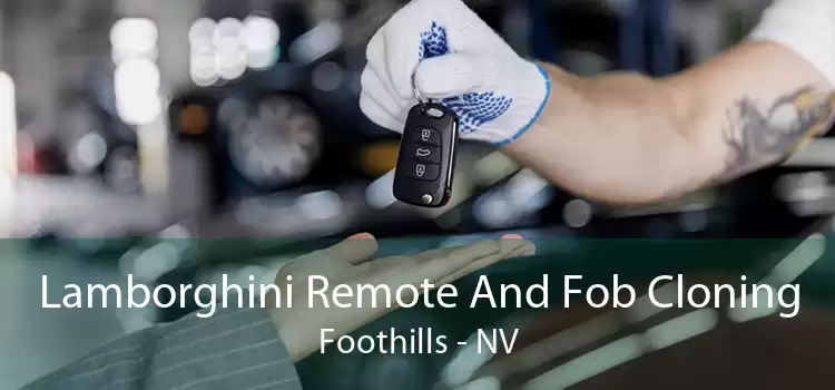 Lamborghini Remote And Fob Cloning Foothills - NV