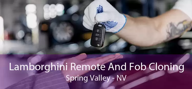 Lamborghini Remote And Fob Cloning Spring Valley - NV