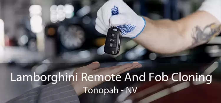 Lamborghini Remote And Fob Cloning Tonopah - NV