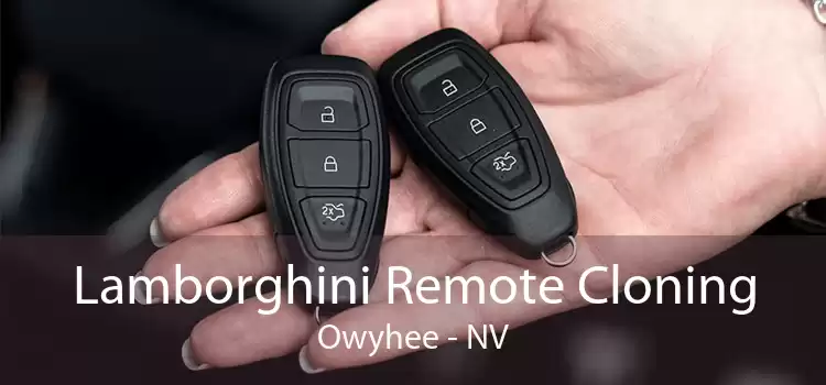 Lamborghini Remote Cloning Owyhee - NV