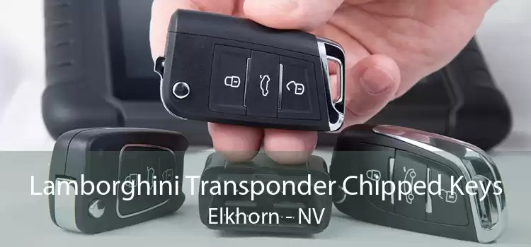 Lamborghini Transponder Chipped Keys Elkhorn - NV